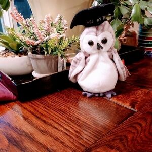 TY GRADUATION OWL) 1999- WISER